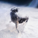 I Won't Let Me Down - Stolen Jars