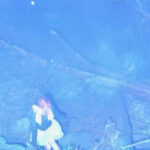 Once then we'll be free - Wisp