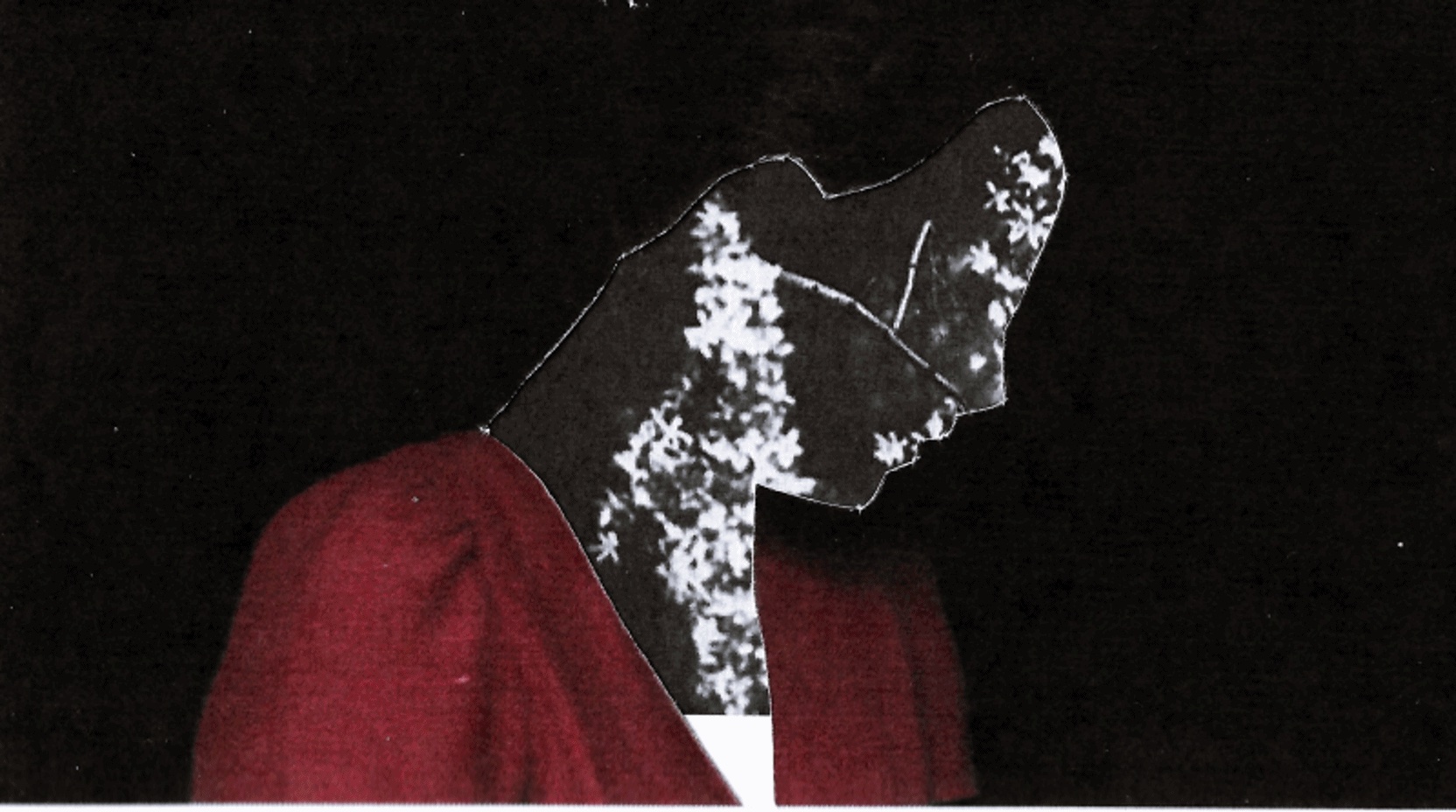 Holy Fool © Christian Tierney