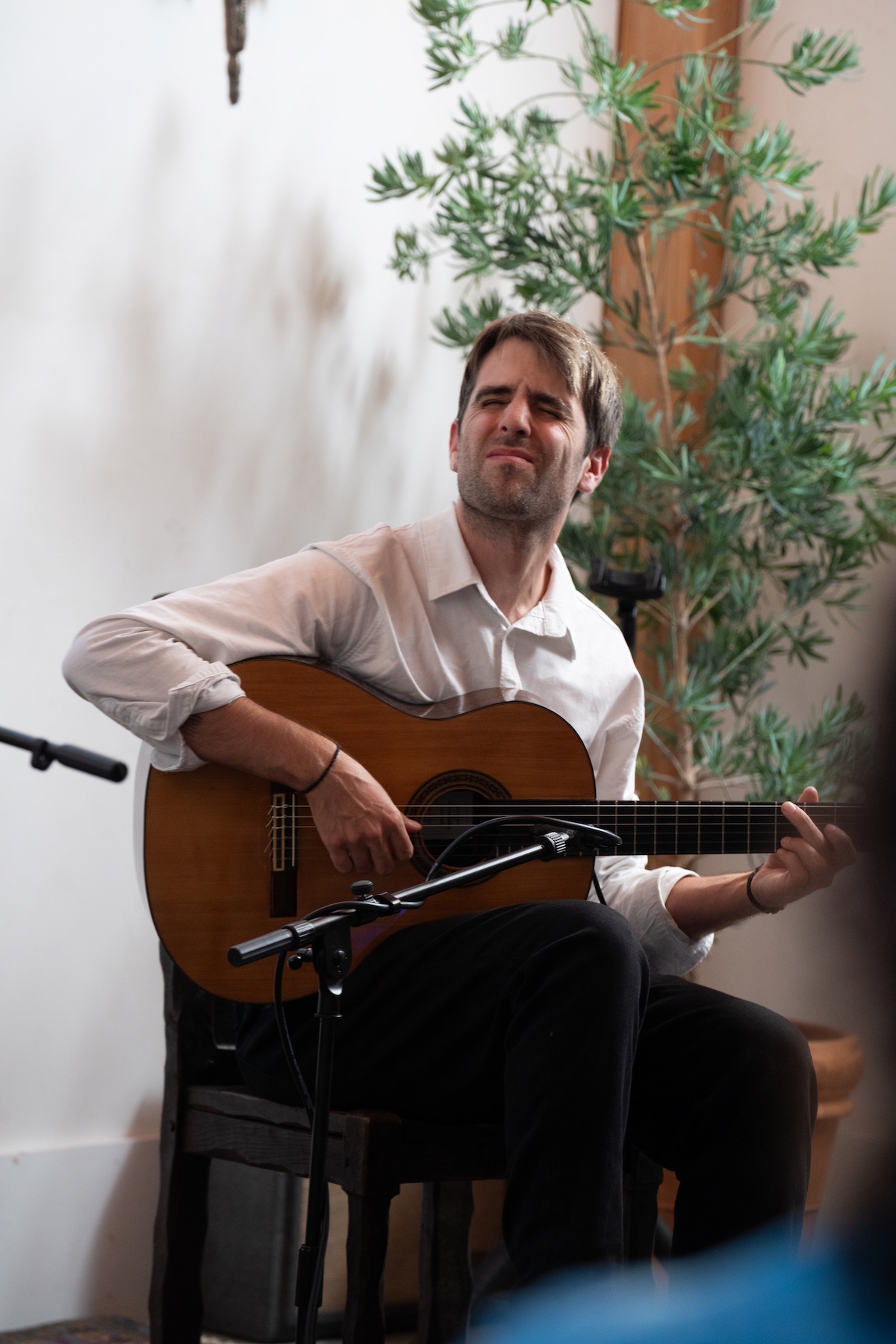 Live at Starseed © Chelsey Reardon