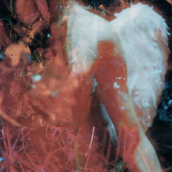 Stray - The Mysterines