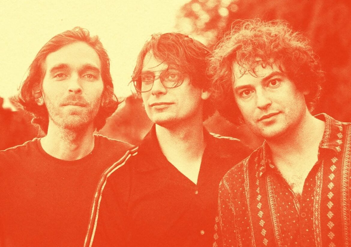 Maybird © Madelyn Bradt