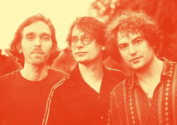 Maybird © Madelyn Bradt