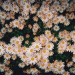 Bad Bad Hats album art