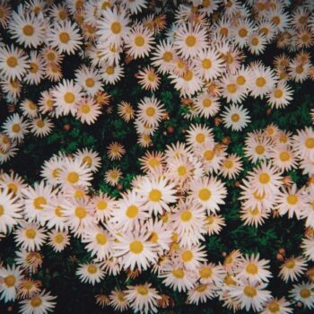 Bad Bad Hats album art