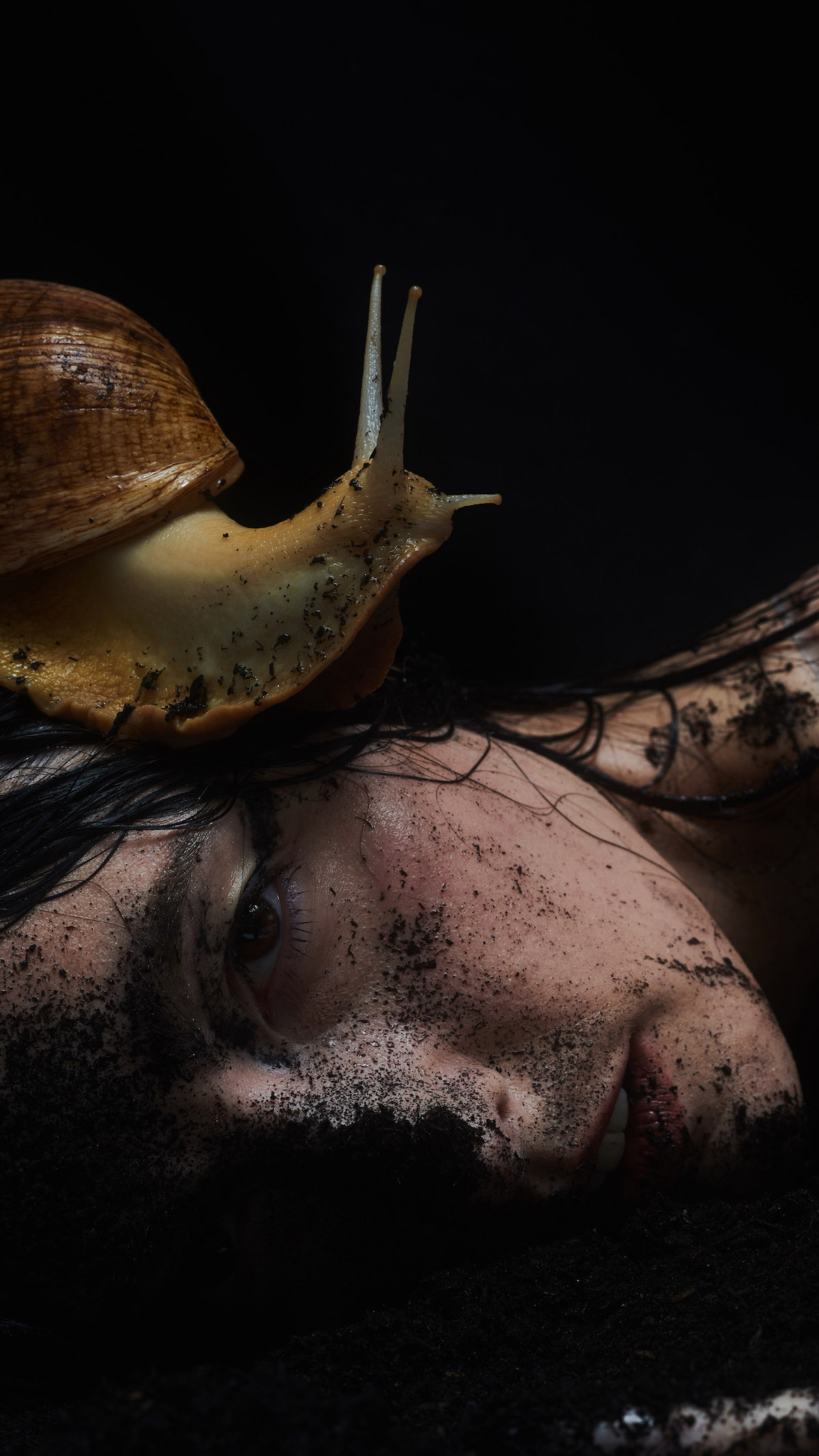 Brimheim © Andre Hansen