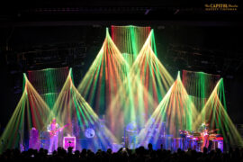 Goose © Geoff Tischman