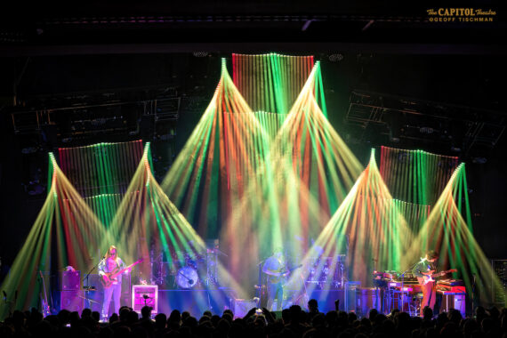 Goose © Geoff Tischman