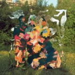 It Was Decided - fucales