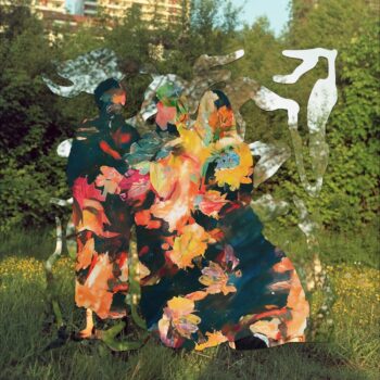 It Was Decided - fucales