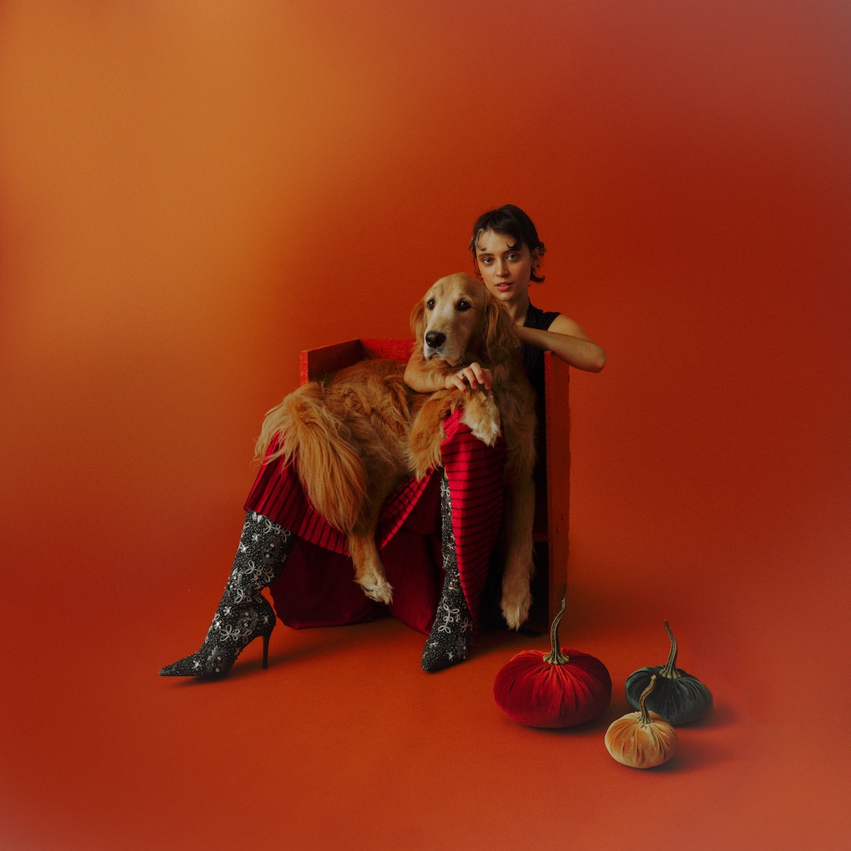 Pomme 'Saisons' © Lawrence Fafard