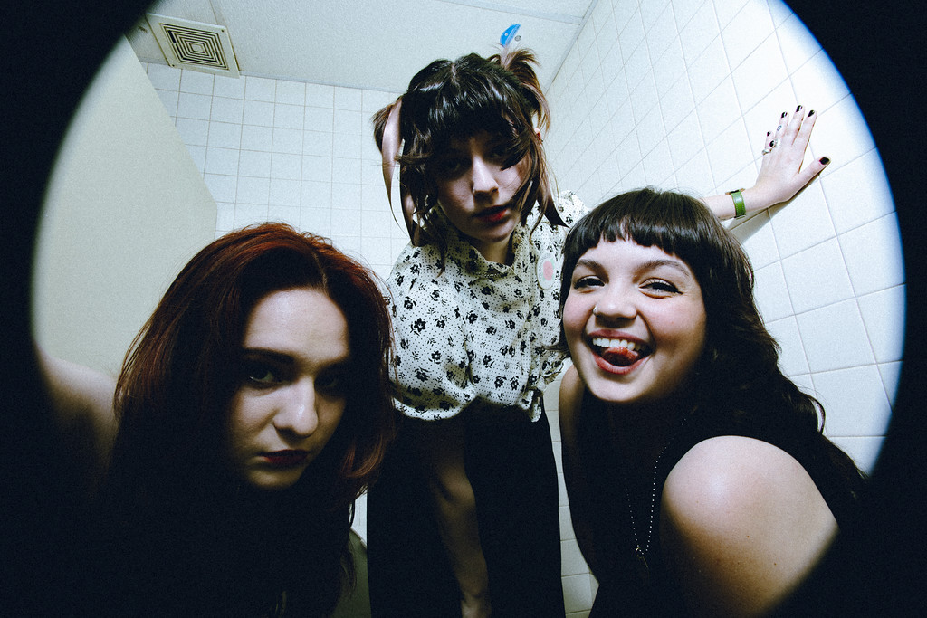 snarls © Sumner Howells