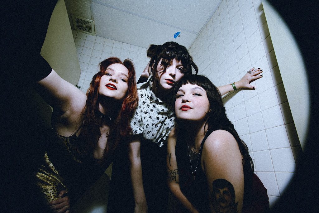 snarls © Sumner Howells