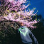 In Love Without You - Cry Baby