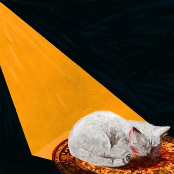 Permanent Pleasure - Joywave