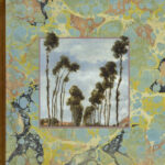 A Bent Wing on Curved Light - Adam Bosarge