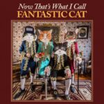 Now That's What I Call Fantastic Cat - Fantastic Cat