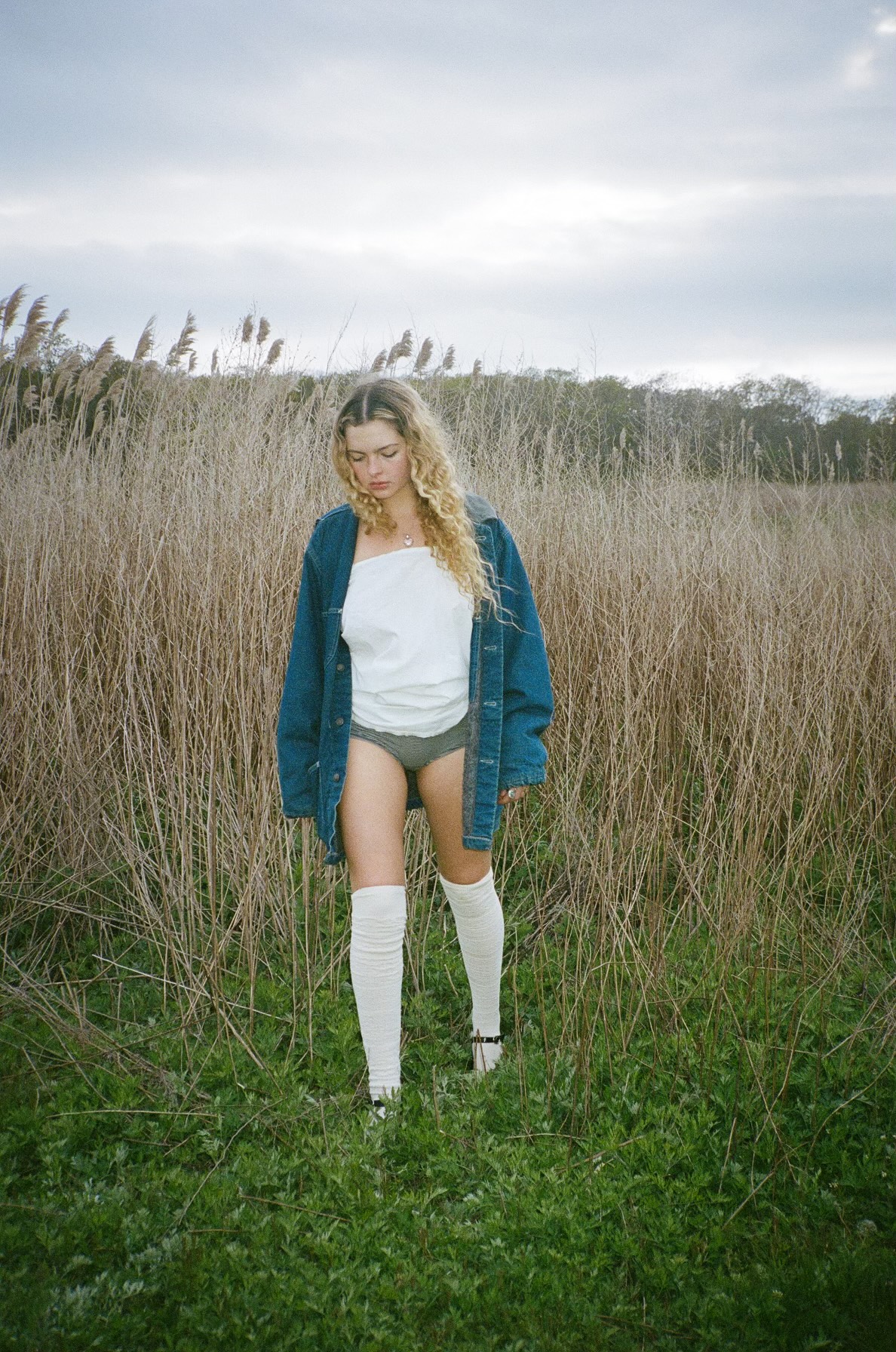 Rose Paradise "Tangerine" © Sofia Ziman