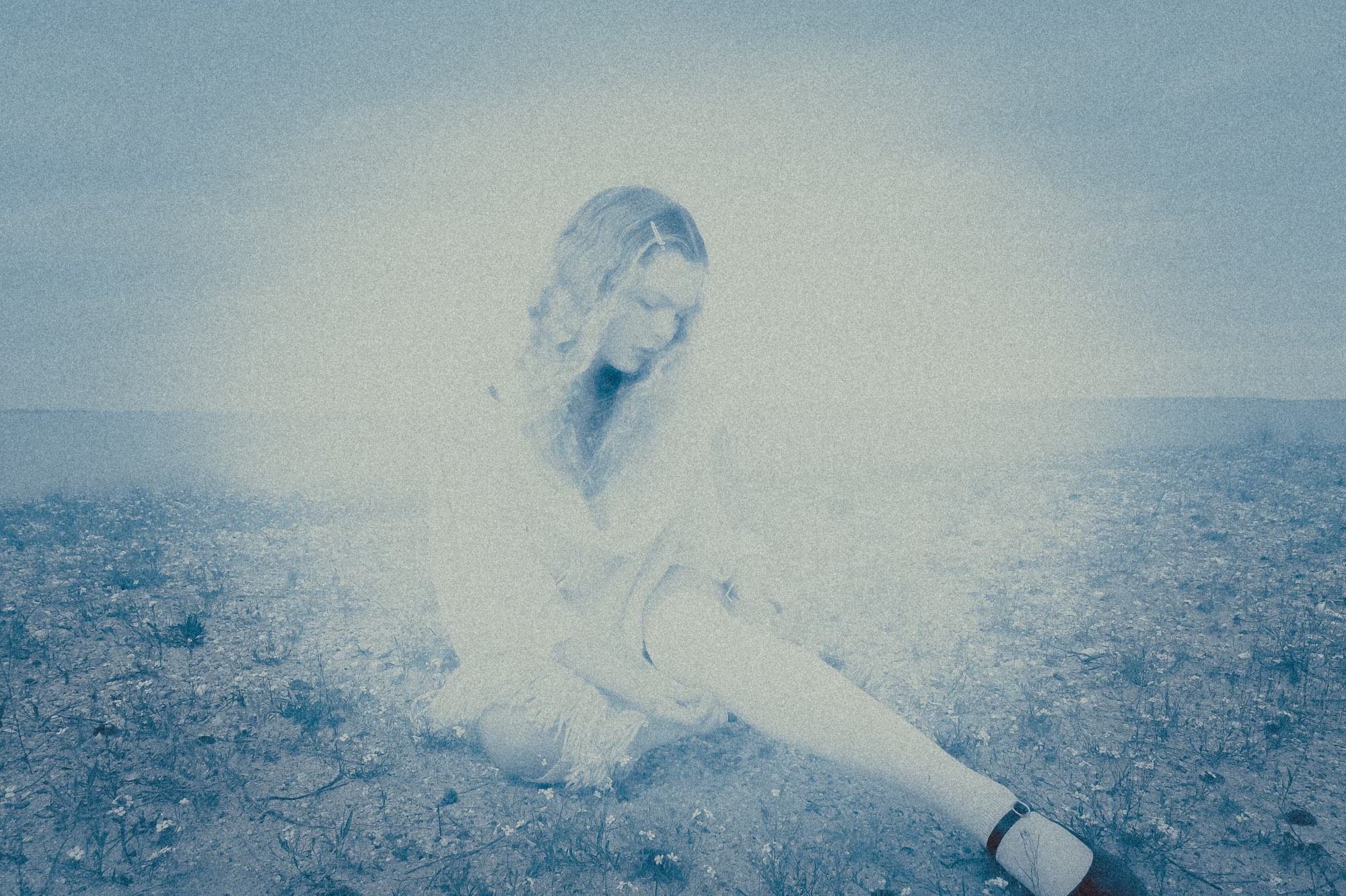 Rose Paradise "Tangerine" © Sofia Ziman