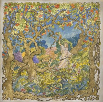 Tangerine - Rose Paradise