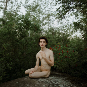 New Virginity - Nat Harvie