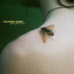 You Feel It Too - Palomino Blond