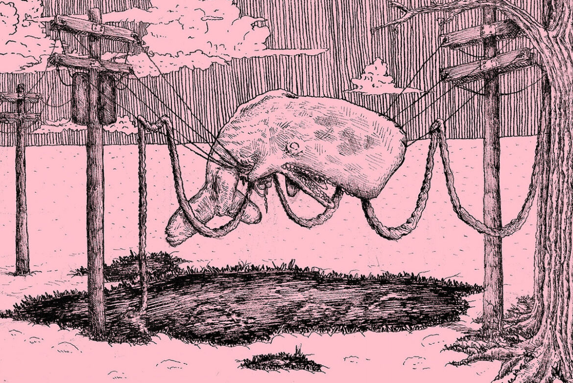 the whaler - Home Is Where