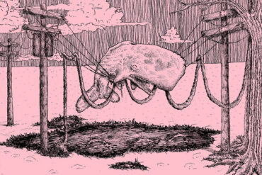 the whaler - Home Is Where