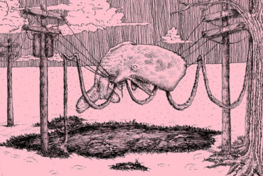 the whaler - Home Is Where