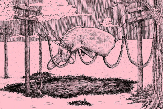 the whaler - Home Is Where