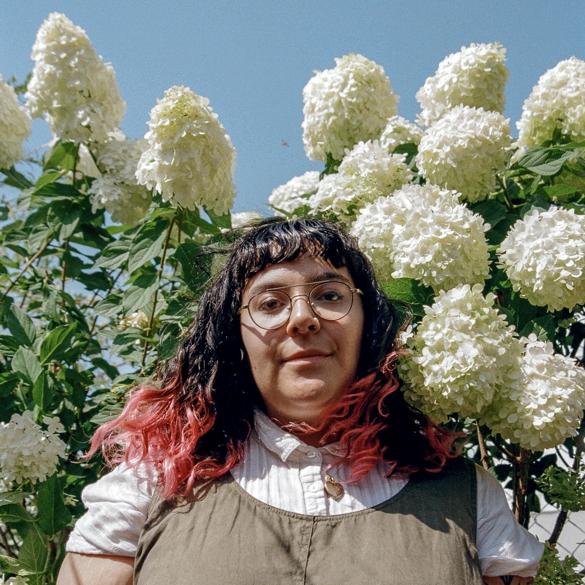 Awksymoron © Jesse Baumes