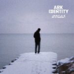 Bleed Out In The Night - ARK IDENTITY