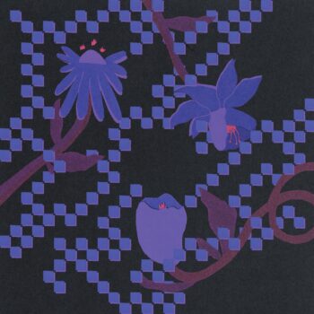 Into the Burning Blue - Trace Mountains