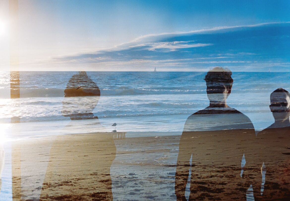 Wax Owls © Nina Ripich