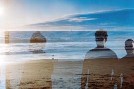 Wax Owls © Nina Ripich