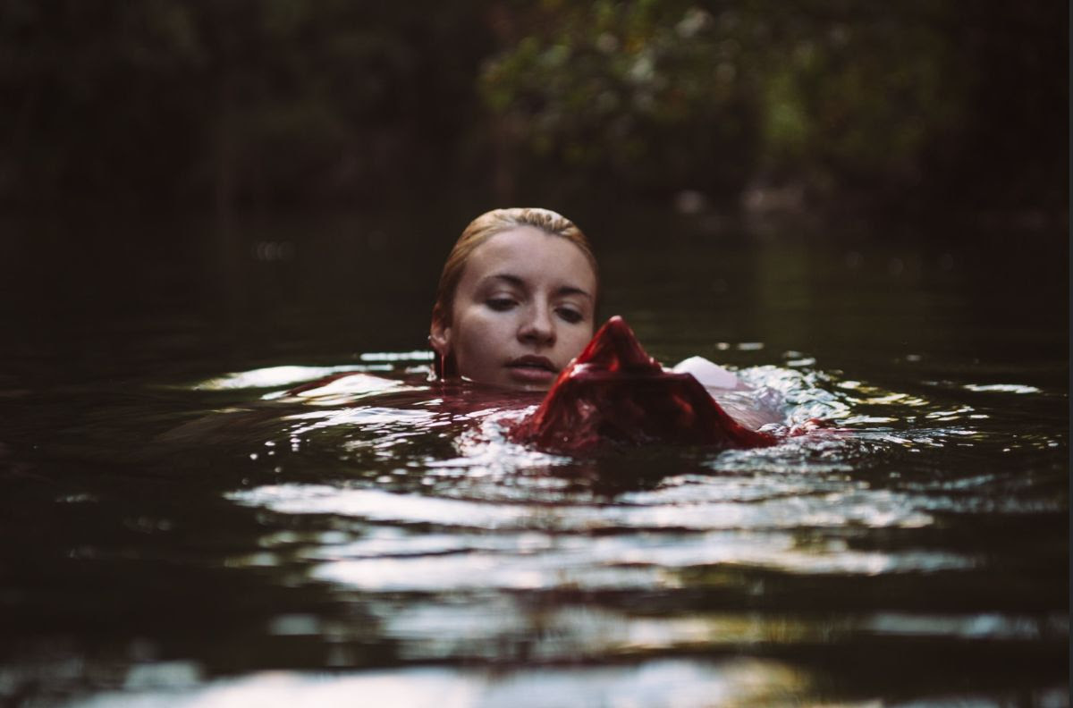 Why Bonnie © Shelby Bohannon