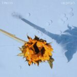 5 Pieces - Oh My Sun