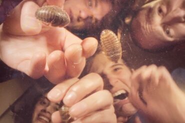 Crumb © Haoyan of America