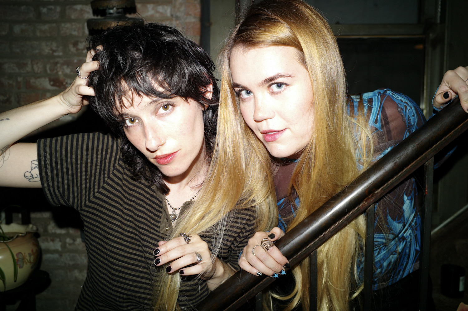 Daisy the Great © Hazel Huizman