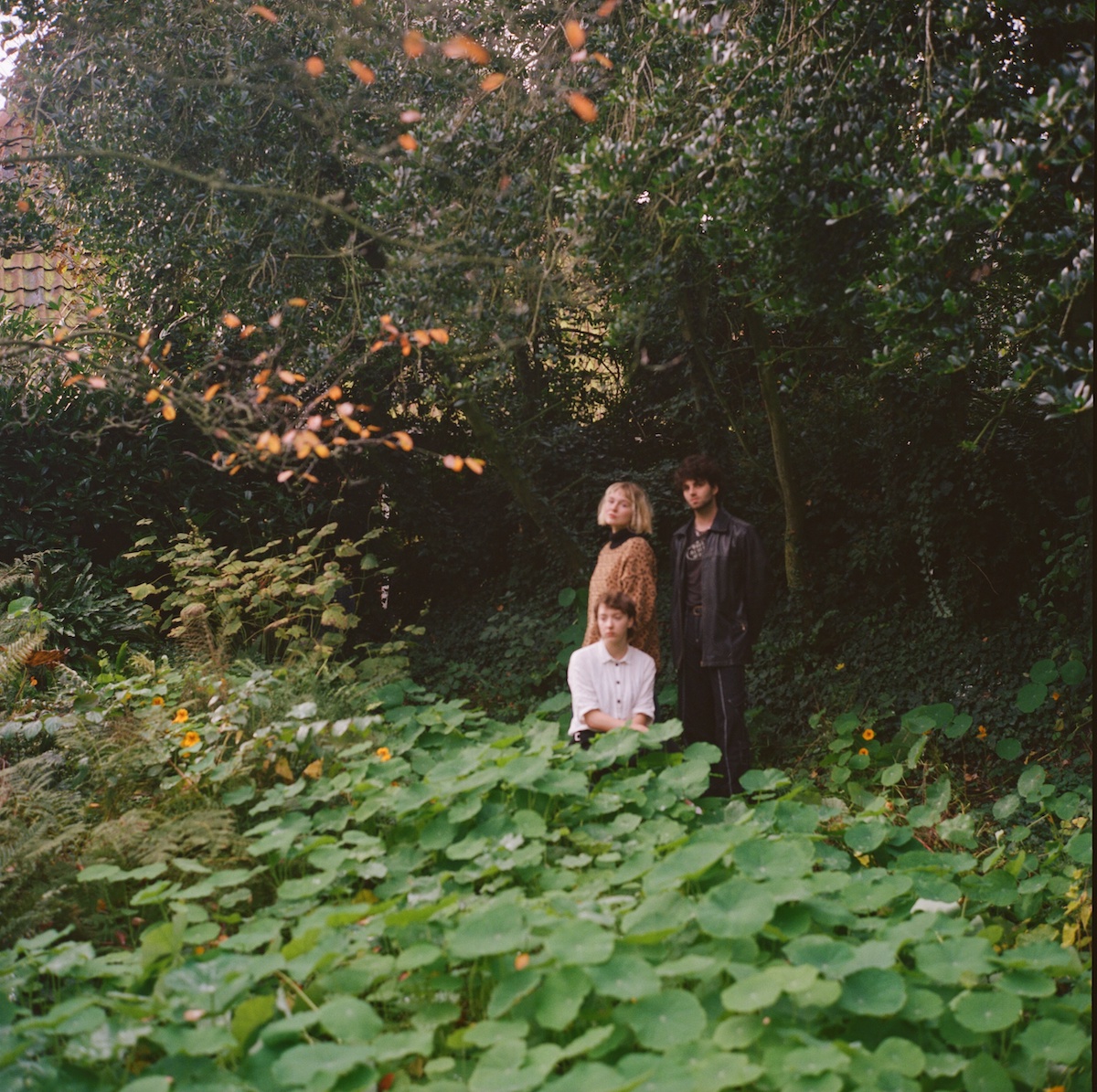 Loema © Chaim Eysten