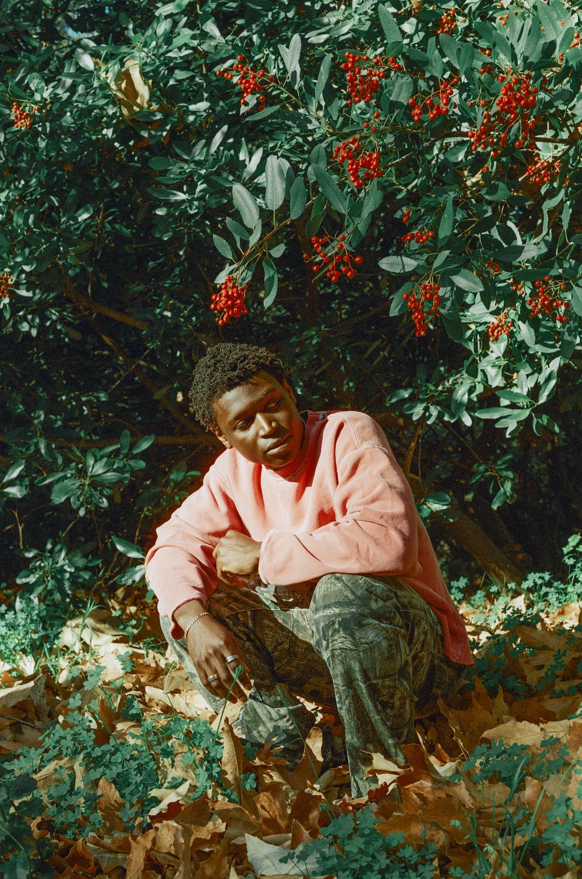 Mon Rovia © Caity Krone