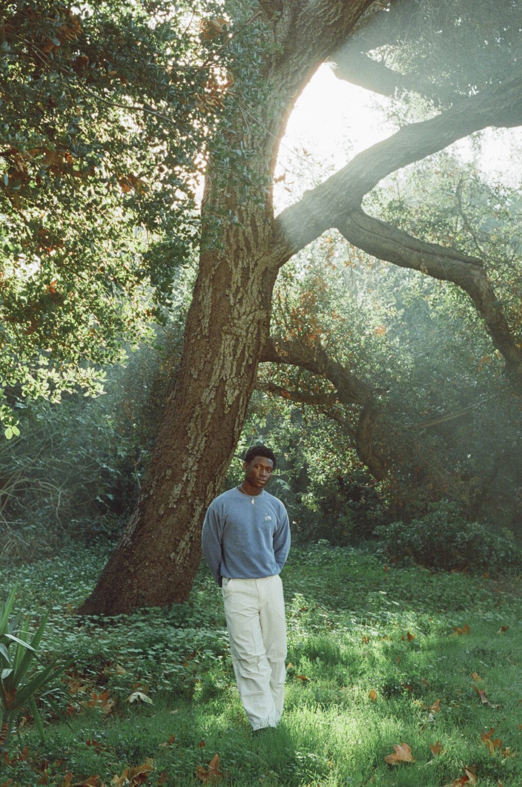 Interview With Mon Rovîa: “The mission of my music is to heal with ...