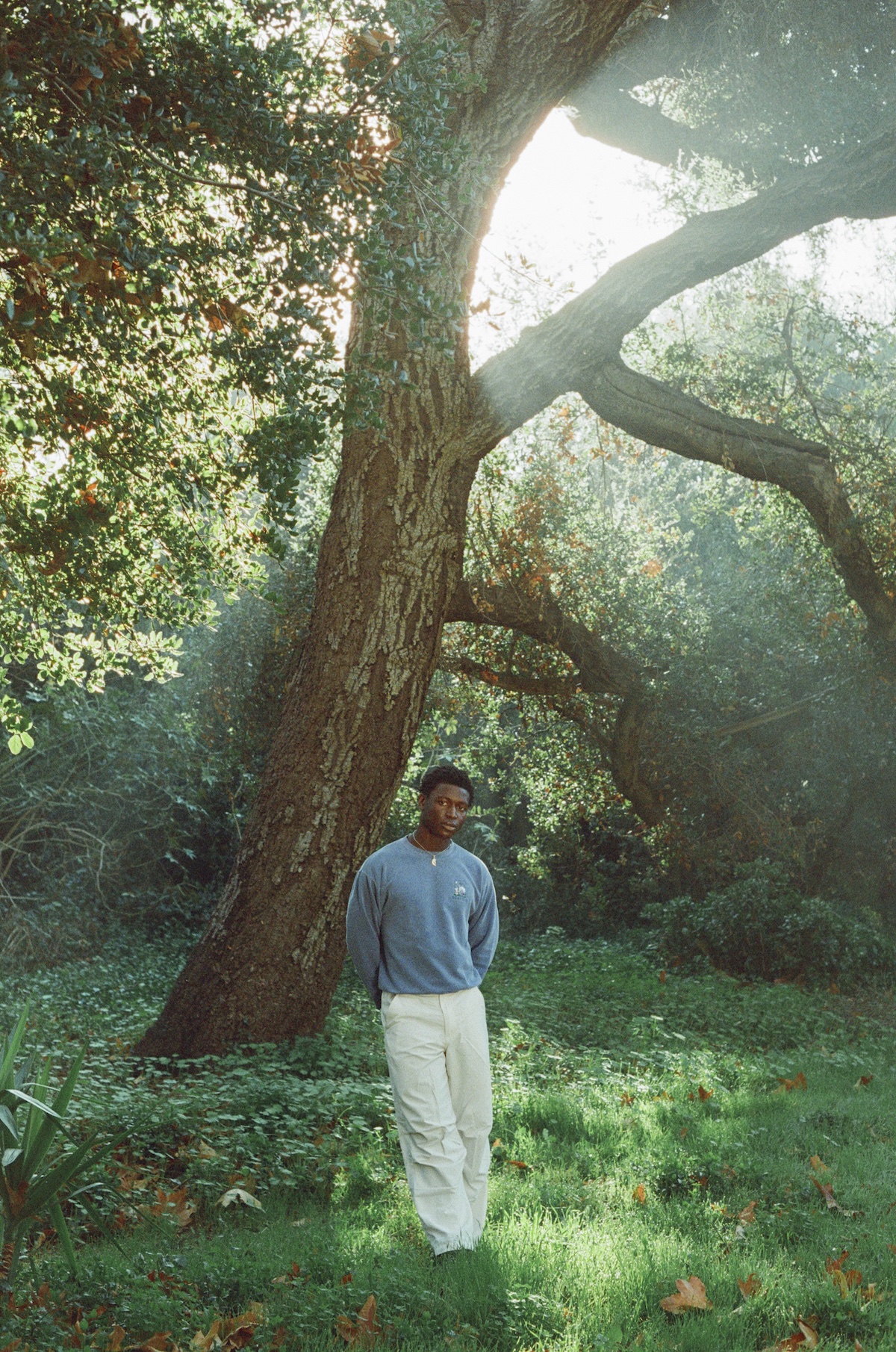 Mon Rovia © Caity Krone