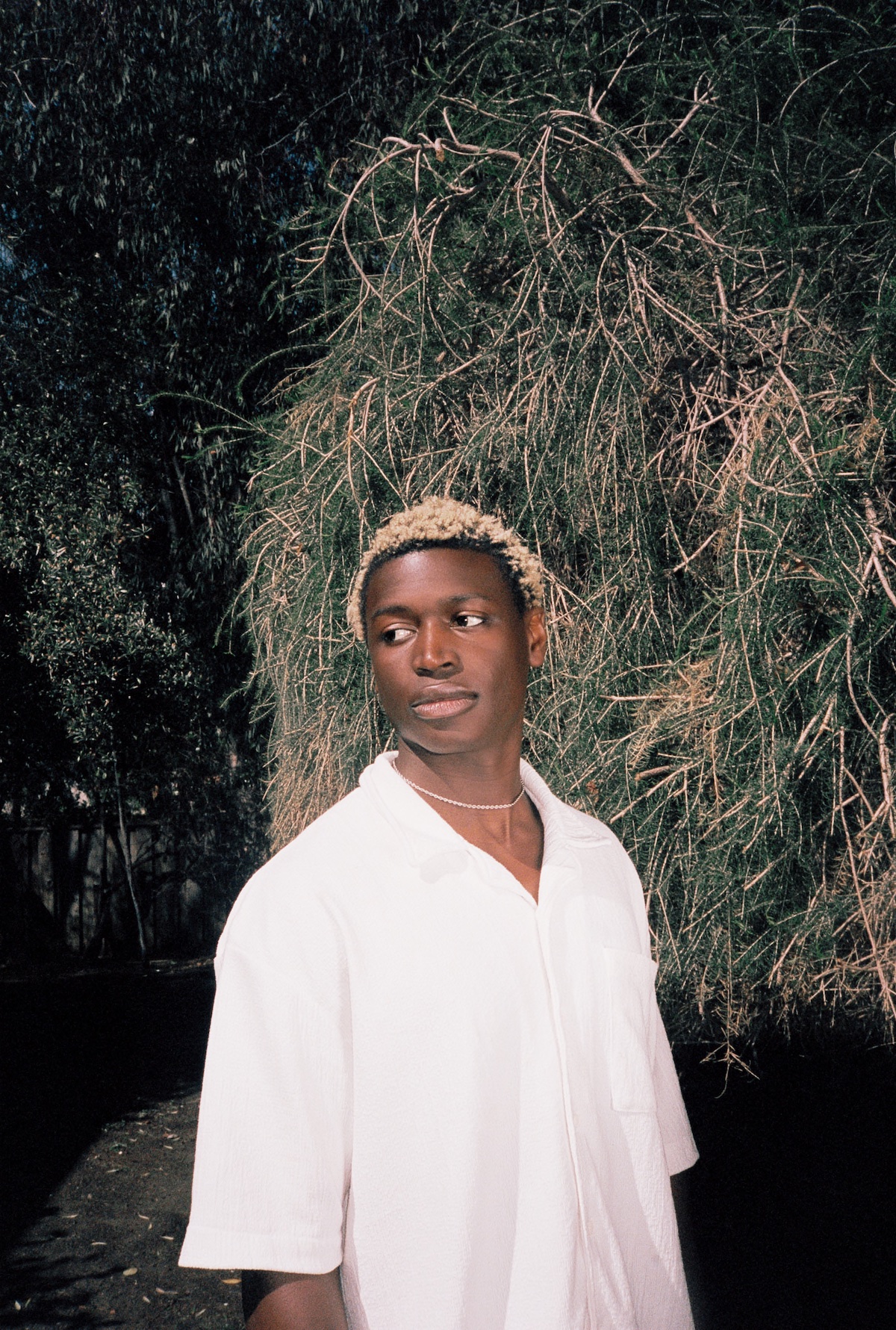 Mon Rovia © Caity Krone