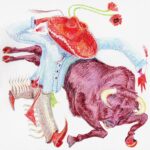 Rodeo Clown - flipturn