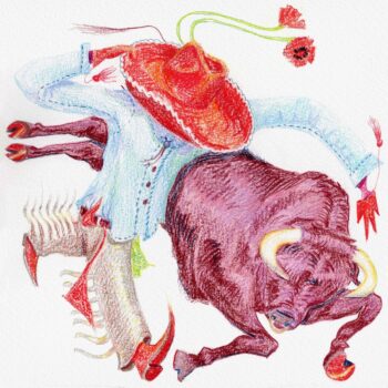 Rodeo Clown - flipturn