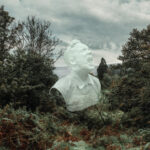 The Garden - David C Clements