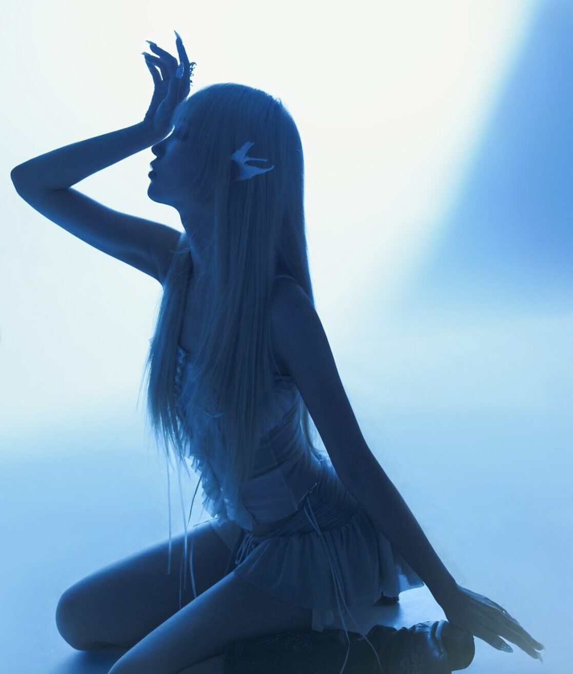 WILDBERRY © ORB HAUS