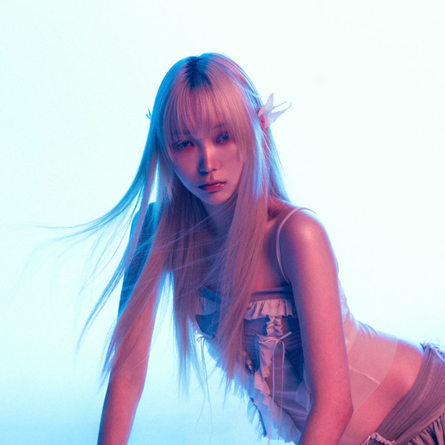 WILDBERRY © ORB HAUS