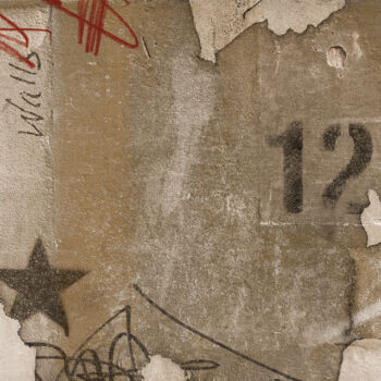 Walls - Will Swinton